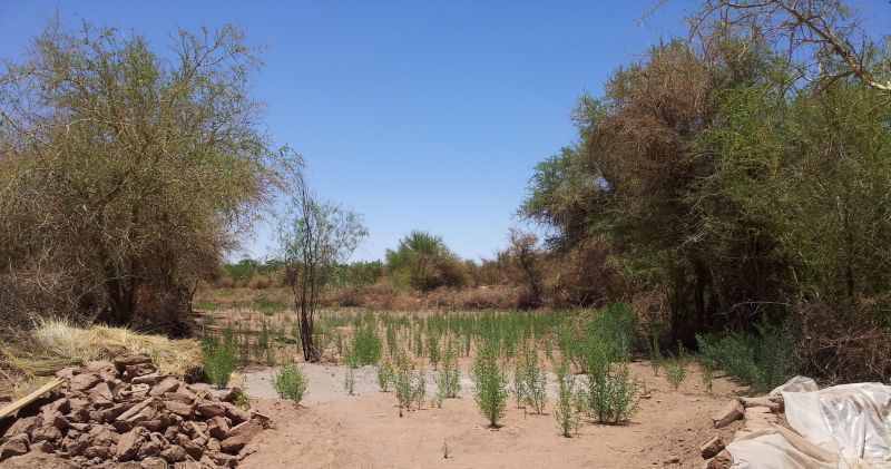 SAN PEDRO DE ATACAMA –ARRIENDA TERRENO CUCUTER 3.000 M2  